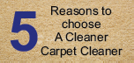 5 Reasons to choose A Cleaner Carpet Cleaner